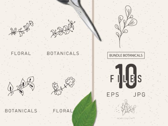 Download Floral Element Bundle 58 - Floral element Collection