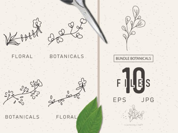 Download Floral Element Bundle 50 - Floral element Collection